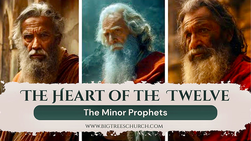 The twelve minor prophets of the Old Testament